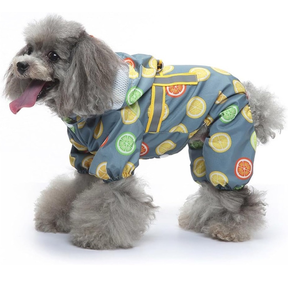 Stylish Gray Dog Raincoat with Citrus Print